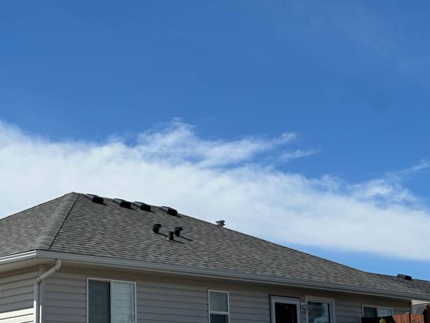 Fast & Reliable Emergency Roof Repairs in Centennial Park, AZ